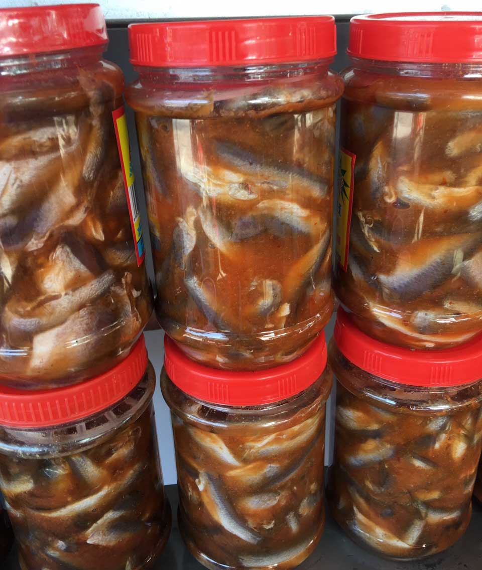 mamcalinh