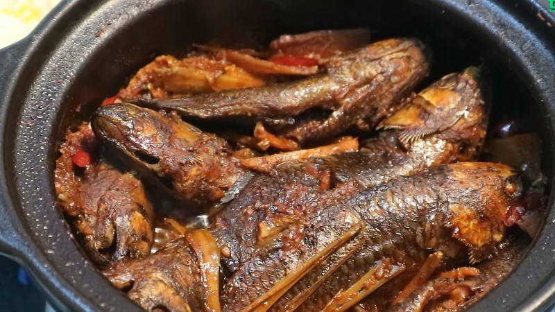 carodong5