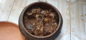 Niêu trắm đen 1.5kg - 550k